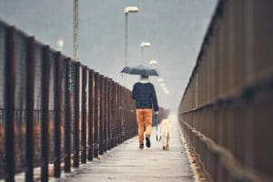 vancouver-man-with-dog-is-walking-to-keep-new-years-resolution